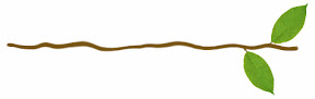 Branch