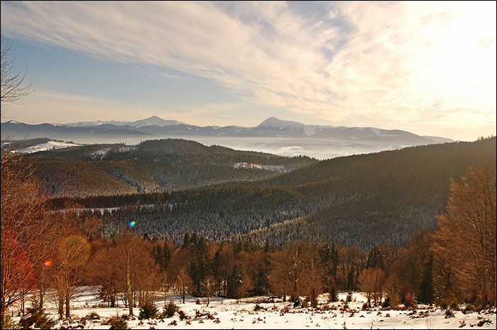 DSC_5096.jpg
