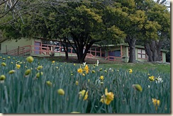 montessori c