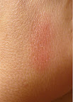 Lip Glaze swatch