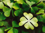 Celebrate St. Patrick's with Bionic Beauty