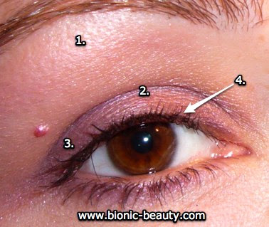 Bionic Beauty's eyeshadow
