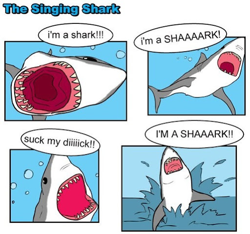 funny shark pictures