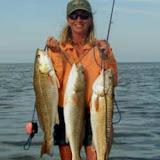Tricia with some slot reds for dinner.  Redfish on the half shell anyone?