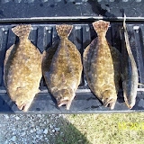 3 Flatties and a trout brought in by Brown Lures.