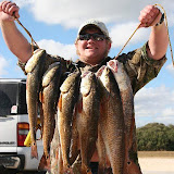 All 9 reds caught on Amber Small Mullet sight casting from an airboat