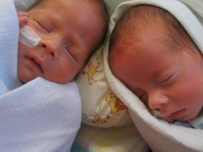 After a Feed