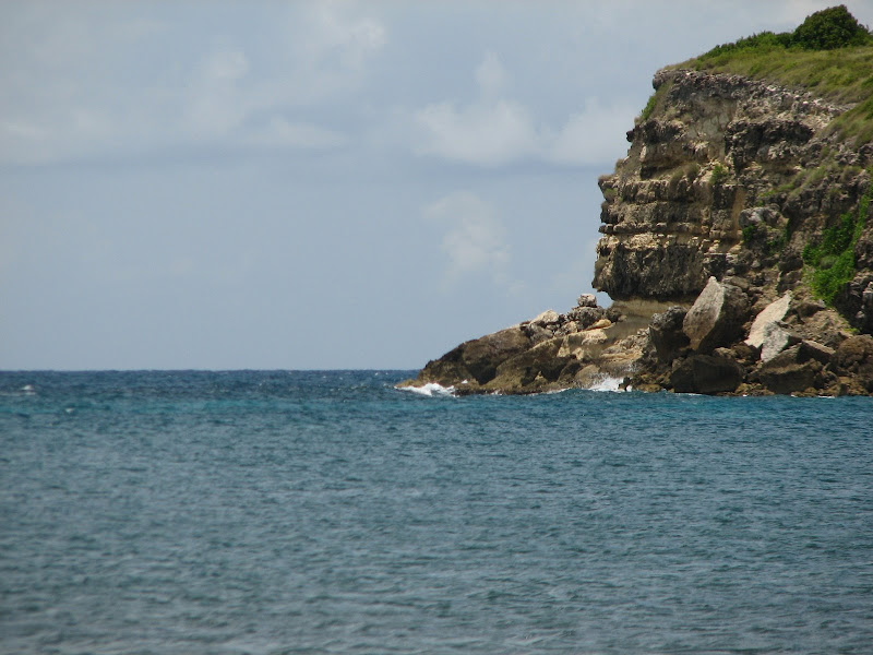 IMAGE: http://lh3.google.com/JPeacott/Rsml-ujLkyI/AAAAAAAACyc/LLU5l7hE6M4/s800/pr4-%20009.jpg