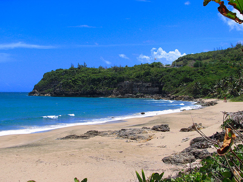 IMAGE: http://lh3.google.com/JPeacott/Rxu9PuwdWzI/AAAAAAAADWo/rjWWyViYvDA/s800/pr5-%20015.jpg