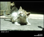 Scan-070520-0026.jpg