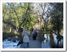 Walking path in Krka