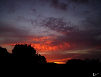 1_24thdecember2005