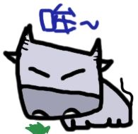 我的相片