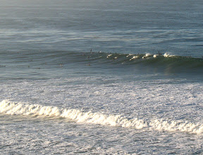 Swamis 