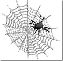 em1p16SpiderWeb
