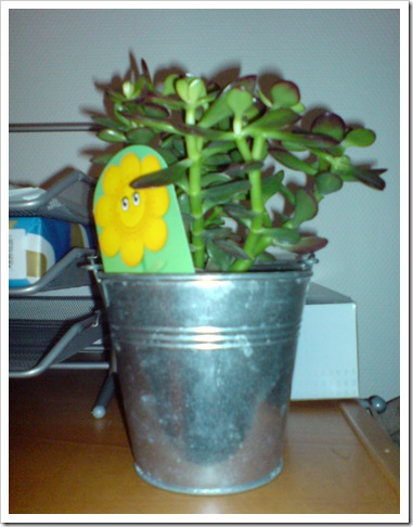 DSC02409
