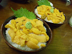 26/02/2008 午餐 三角巿場 - 海膽刺身飯
