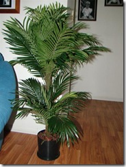 DSCF0745 (Medium)