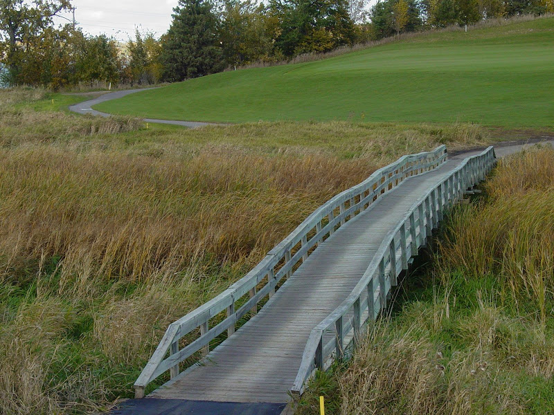 wildmarsh.com