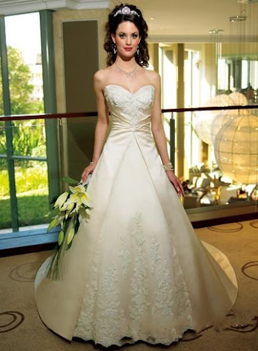 Princess A-Line Wedding Dress Gown