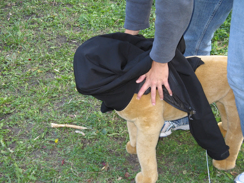 ... dog t...