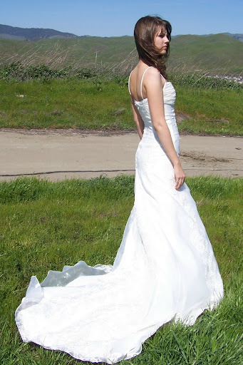 deadly_summer_wedding_dress_2011