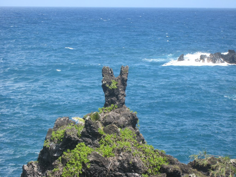 lovemaui.net