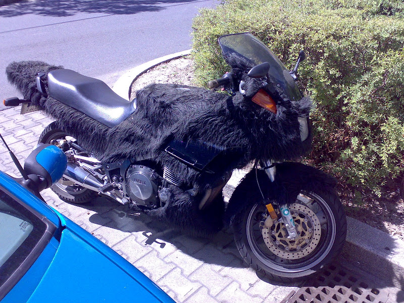 15082007867.jpg