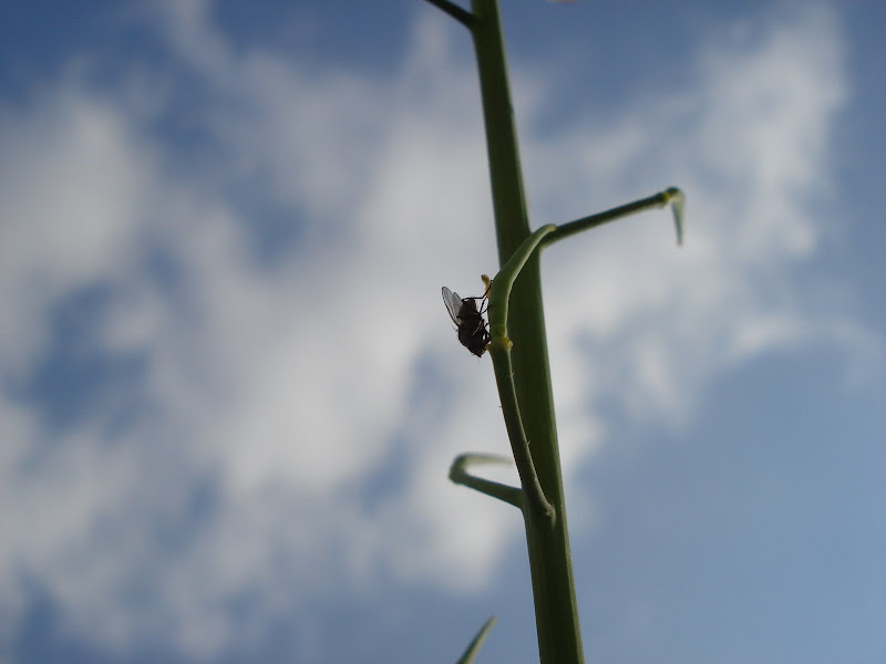 sonyphotography.com