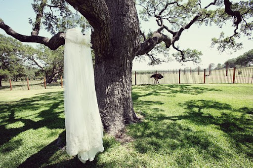 Best Ivory Bridal Gown Hanging