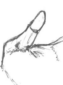 handsketch3