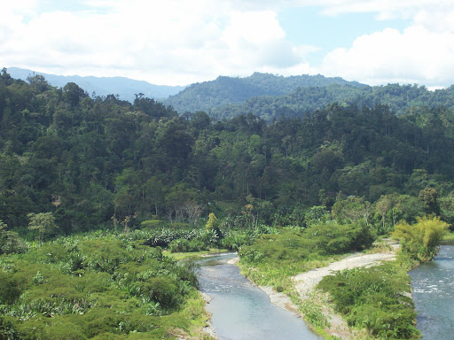Comarca Naso Teribe, Bosque Protector de Palo Seco, al Fondo el PILA