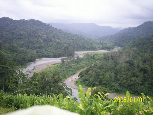 Valle del Rio Changuinola