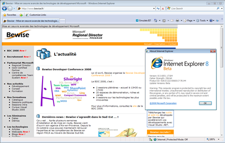 IE8