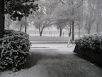 Snow Day 2007 photo - IMG_3450