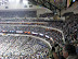 2007-03-Mavs-22.jpg