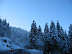2006-01-BeiGretel-13.jpg