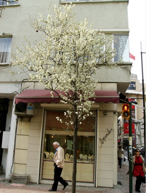 Nişantaşı ve ilkbahar