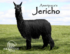 Ameripaca's Jericho