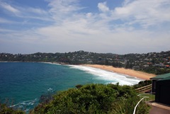 whale beach