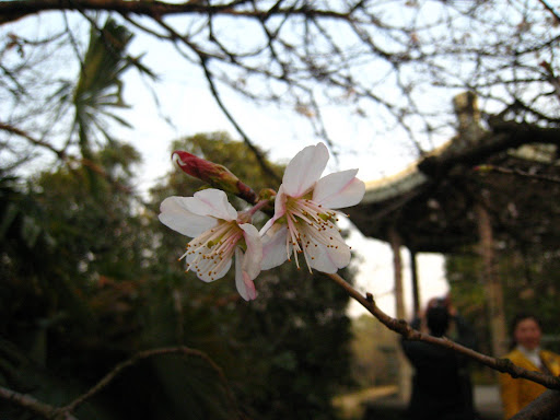 http://lh3.google.com/anikox/R-BsPSBpOEI/AAAAAAAABmE/hYCPa3JyVlI/IMG_2006.JPG?imgmax=512