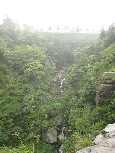 http://lh3.google.com/anikox/RtQRhWLJk8I/AAAAAAAAAqM/DrJ-rZq8wuE/IMG_0788.JPG?imgmax=512