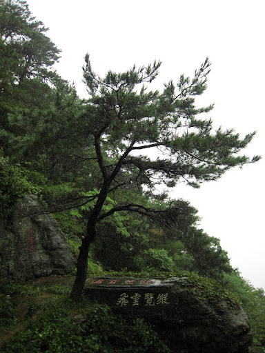 http://lh3.google.com/anikox/RtQUOWLJlgI/AAAAAAAAAu0/DzKVP75NIg0/IMG_0868.JPG?imgmax=512