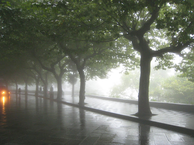 http://lh3.google.com/anikox/RtQX7WLJmRI/AAAAAAAAA1g/RtmQK09jmCw/IMG_0972.JPG?imgmax=640