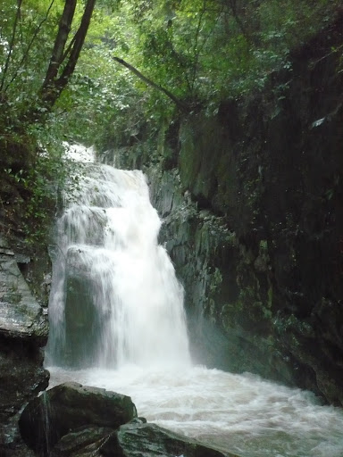 http://lh3.google.com/anikox/RtQXVWLJmJI/AAAAAAAAA0I/eFpEbR76KCc/P1000580.JPG?imgmax=512