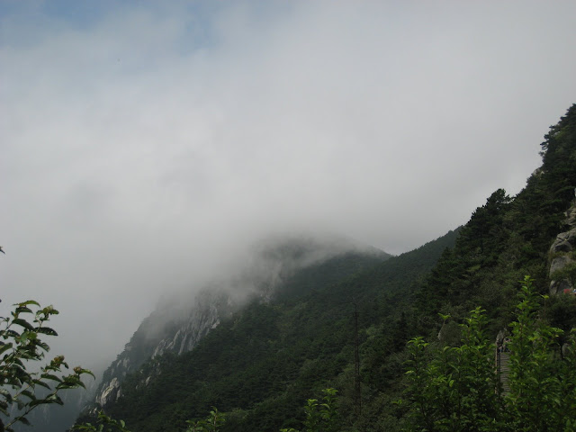 http://lh3.google.com/anikox/RtQY1WLJmrI/AAAAAAAAA44/JiV1zDLdeE4/IMG_1020.JPG?imgmax=640