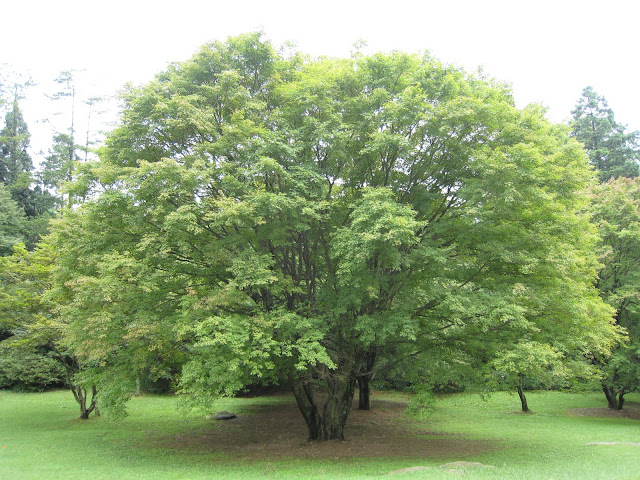 http://lh3.google.com/anikox/RtQZeWLJmyI/AAAAAAAAA5w/QGnNalmqWCE/IMG_1037.JPG?imgmax=640