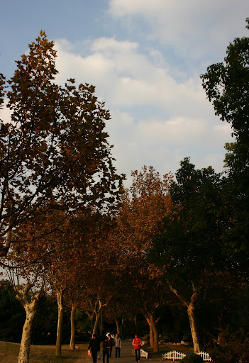 http://lh3.google.com/anikox/RzfsOTP-2CI/AAAAAAAABaE/ChBlC8nqgvY/IMG_0204.jpg?imgmax=512