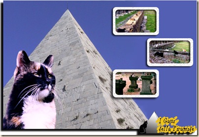 Gatti-Piramide