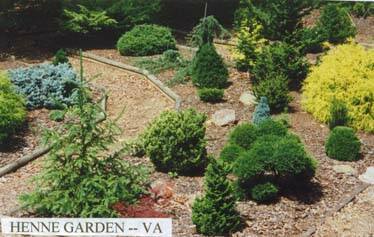 Henne Garden - VA Henne Garden - VA